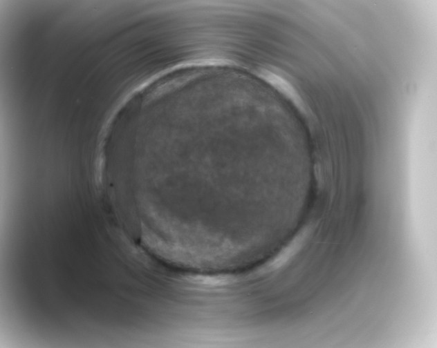 X0000088690781200706211926