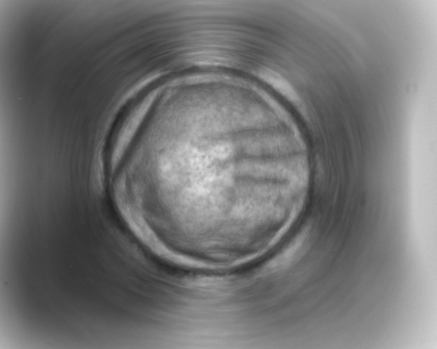 X0000088690782200706211926