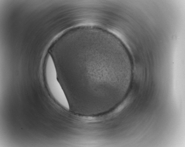 X0000088690783200706211926