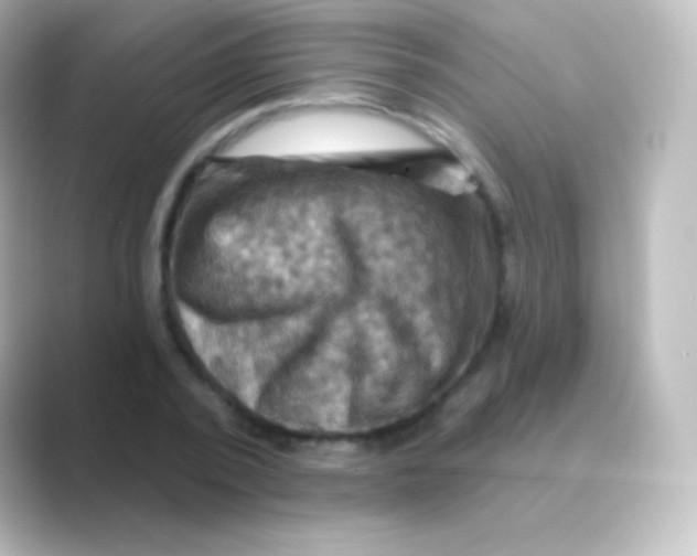 X0000088690784200706211926