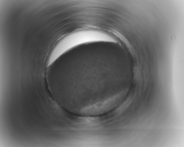 X0000088690785200706211926