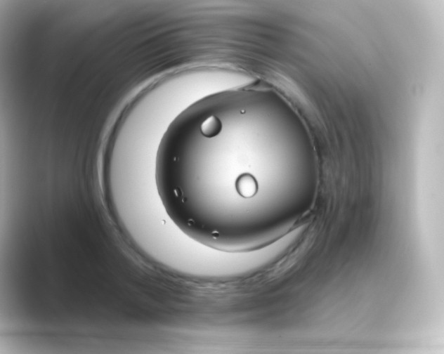 X0000088690788200706211926