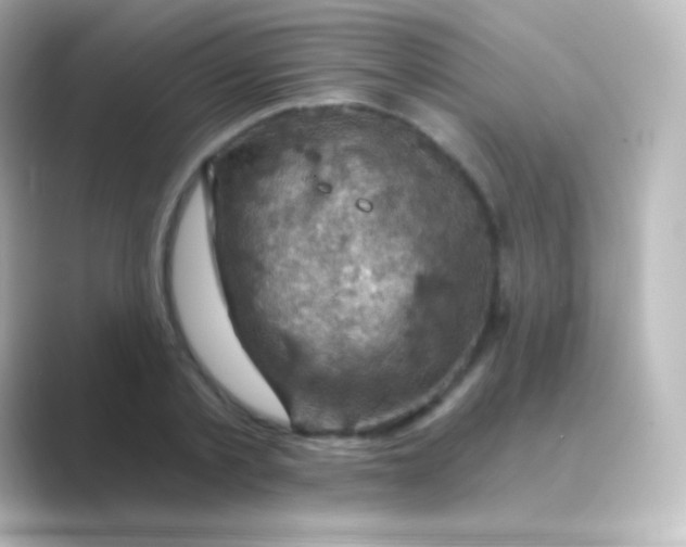 X0000088690789200706211926