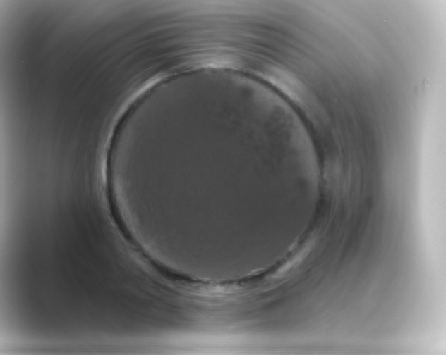 X0000088690790200706211926
