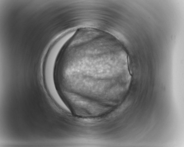 X0000088690792200706211926