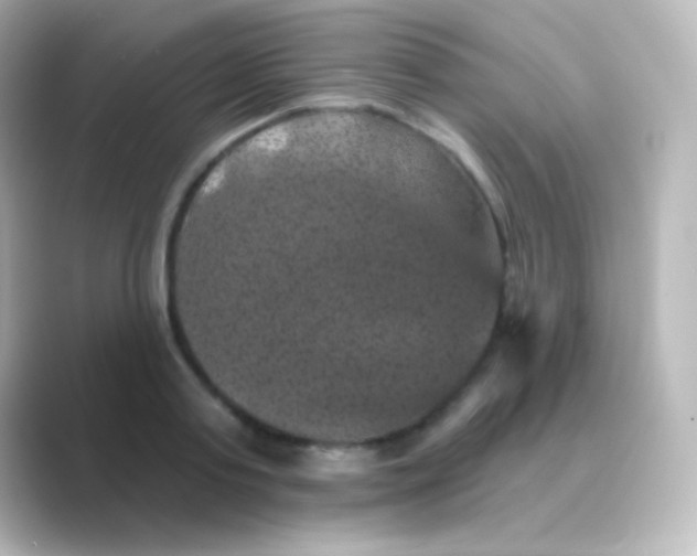 X0000088690795200706211926