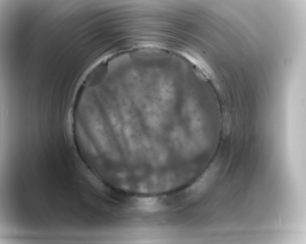 X0000088690798200706211926