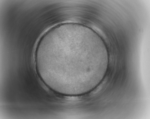 X0000088690800200706211926