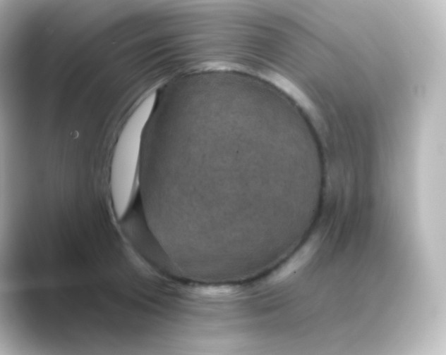 X0000088690801200706211926