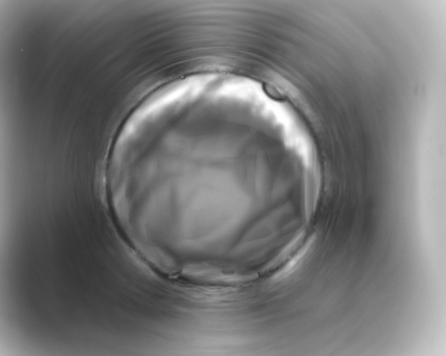 X0000088690802200706211926
