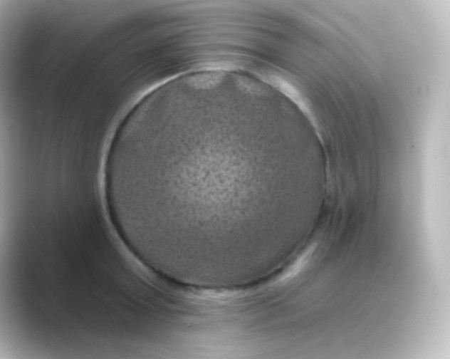 X0000088690803200706211926