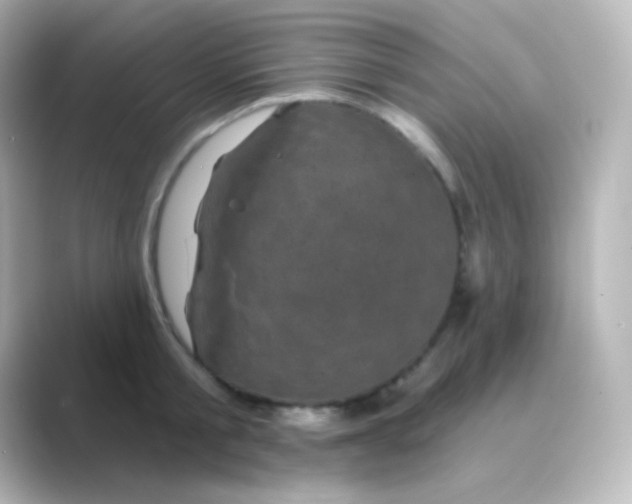 X0000088690805200706211926