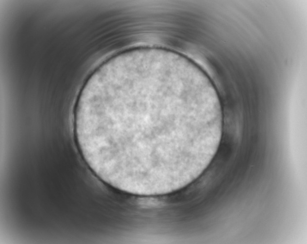 X0000088690807200706211926
