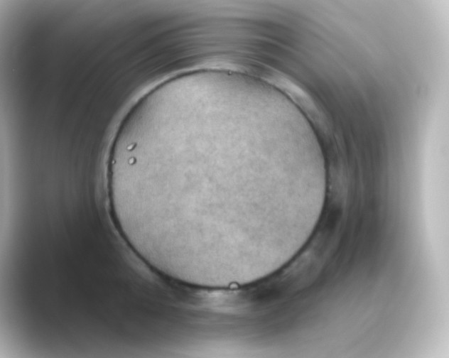 X0000088690808200706211926