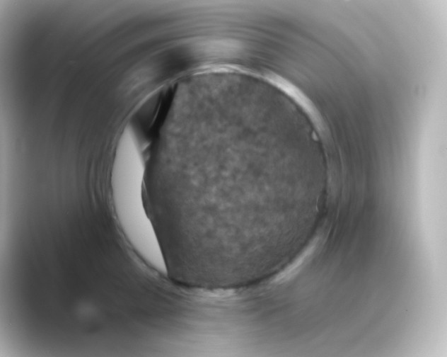 X0000088690809200706211926