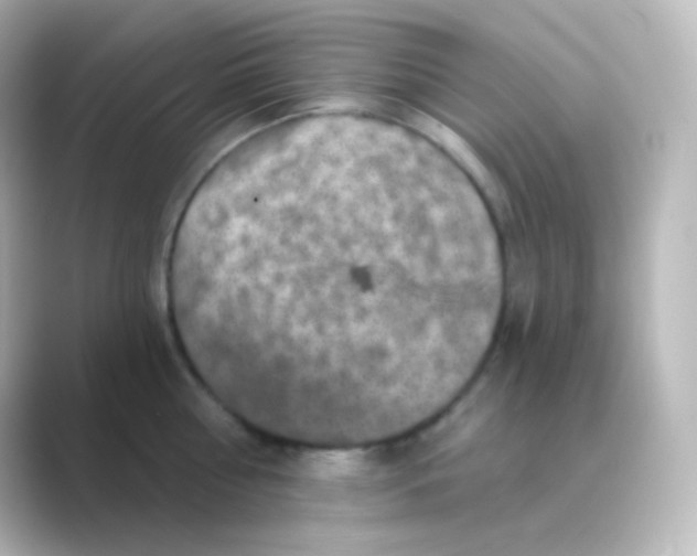X0000088690810200706211926