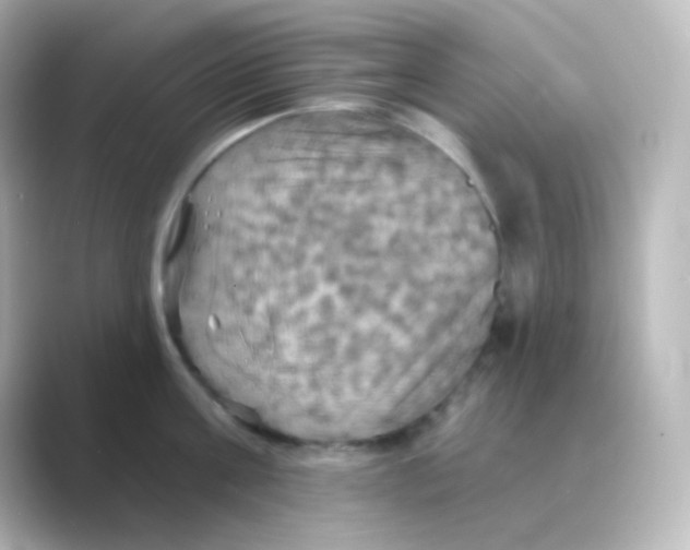 X0000088690811200706211925