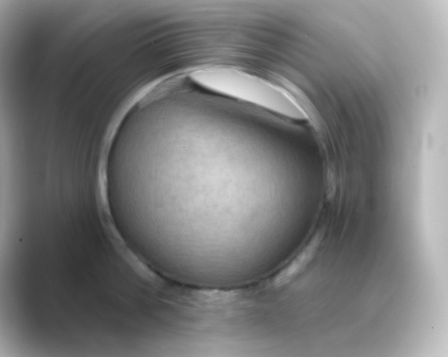X0000088690812200706211925