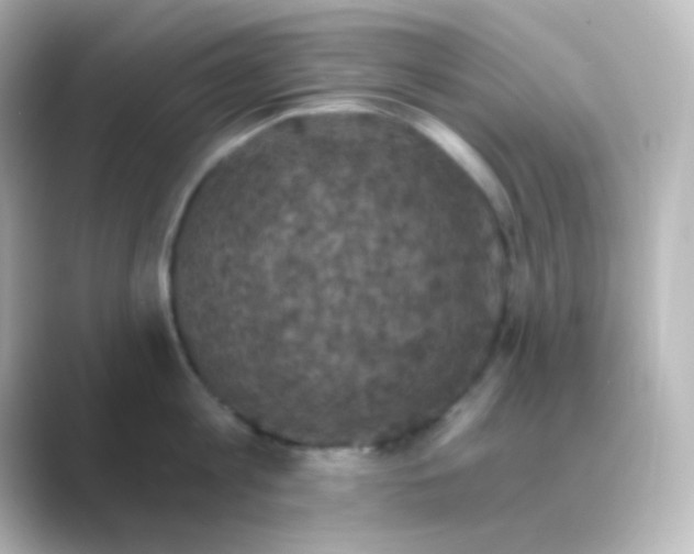 X0000088690813200706211925