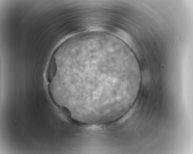 X0000088690814200706211925