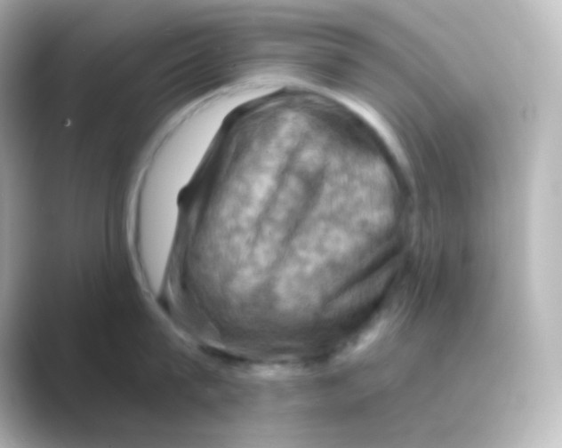 X0000088690815200706211925
