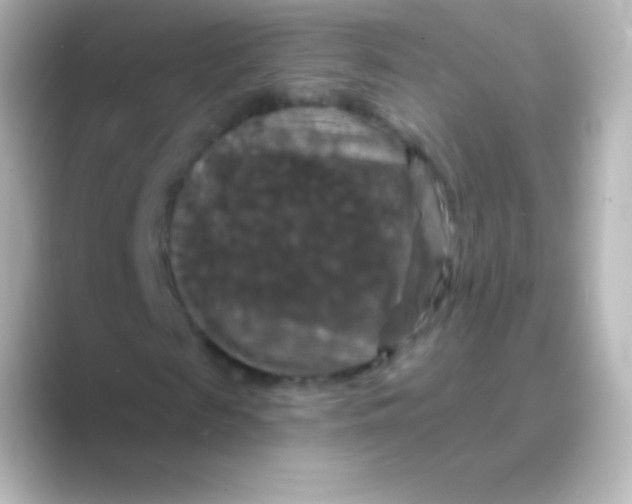 X0000088690817200706211925