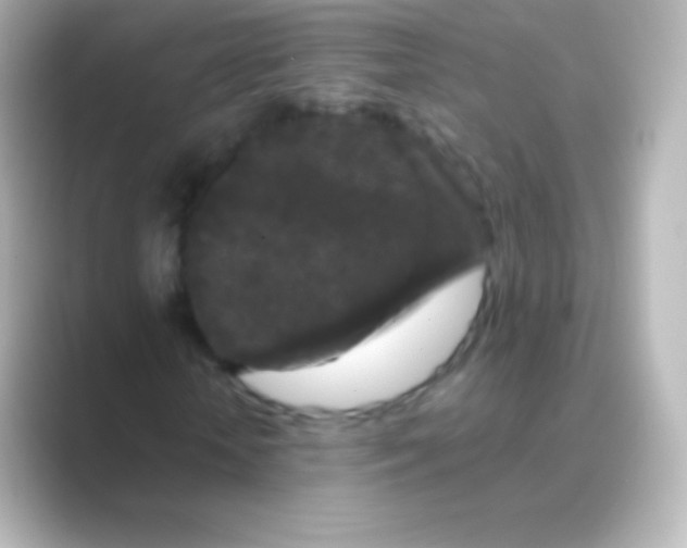 X0000088690818200706211925