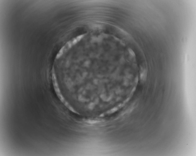 X0000088690819200706211925