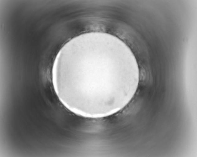 X0000088690820200706211925