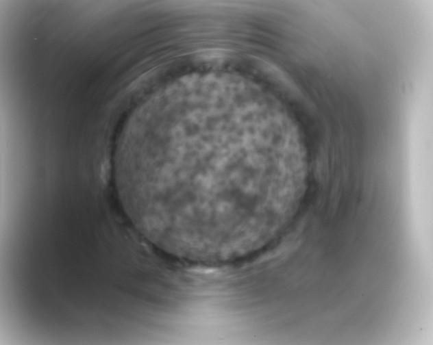X0000088690821200706211925