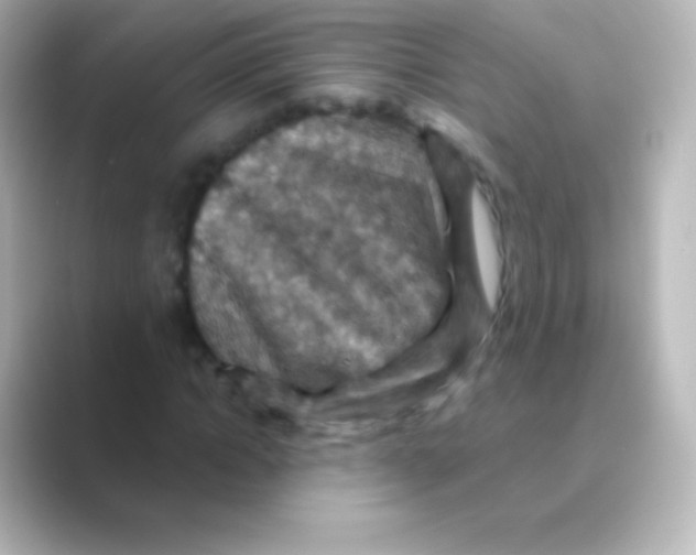 X0000088690822200706211925