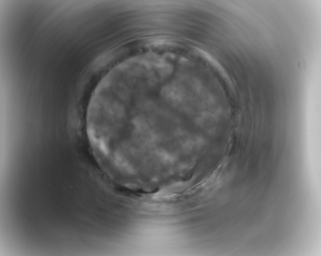 X0000088690823200706211925