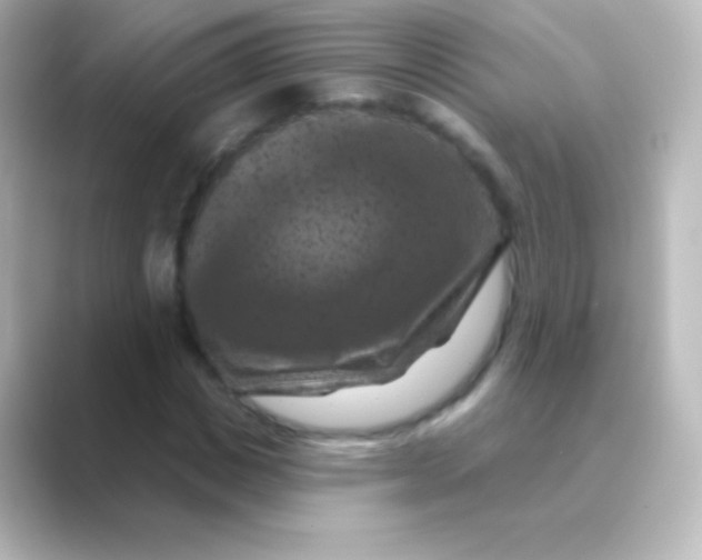X0000088690825200706211925