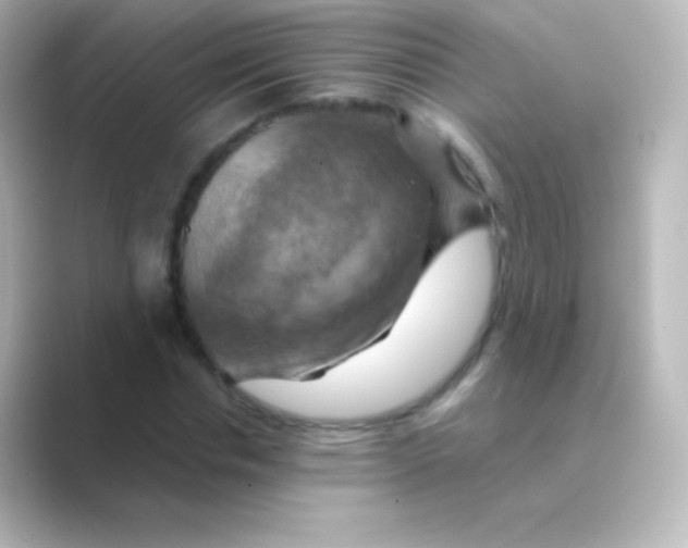 X0000088690826200706211925