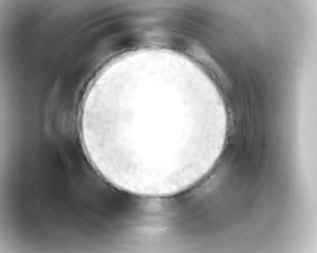 X0000088690828200706211925