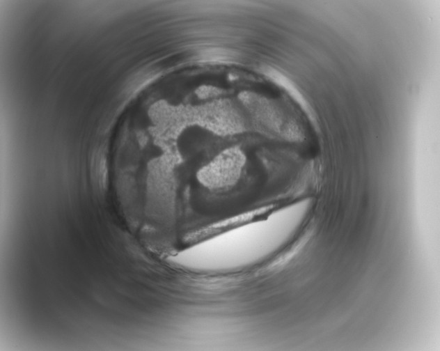 X0000088690829200706211925