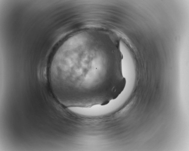 X0000088690830200706211925