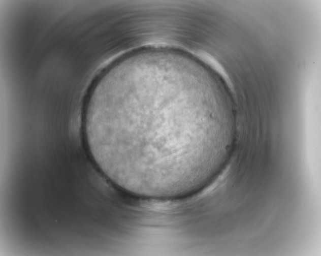 X0000088690831200706211925