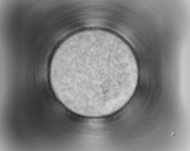X0000088690832200706211925