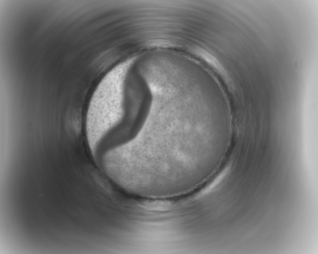 X0000088690833200706211925
