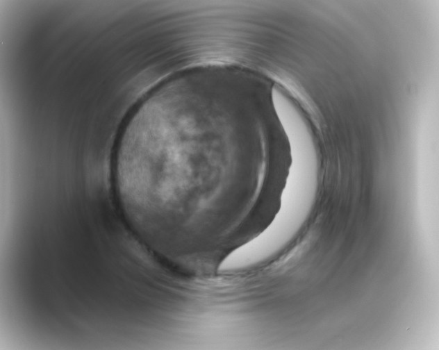 X0000088690834200706211925