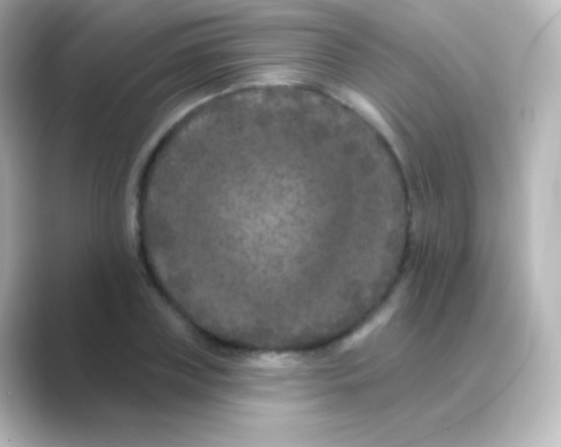 X0000088690835200706211925