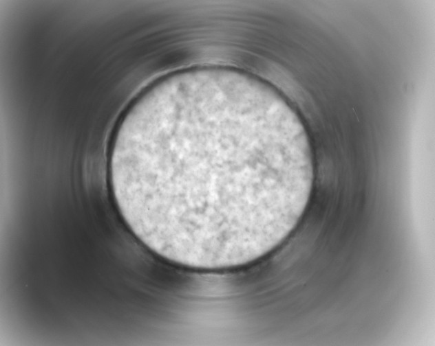 X0000088690836200706211925