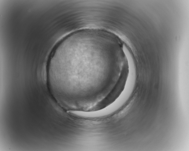 X0000088690838200706211925