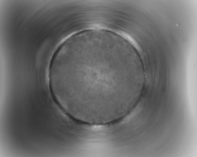 X0000088690839200706211925