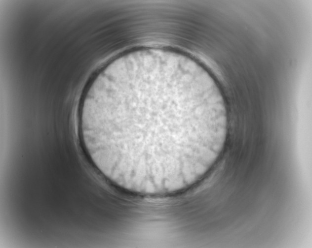X0000088690840200706211925