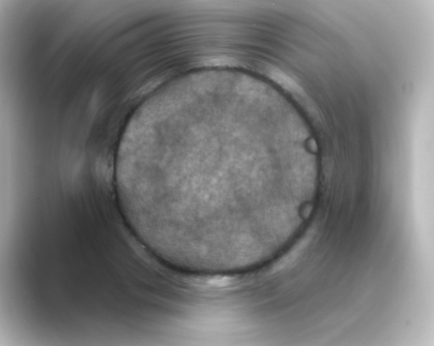 X0000088690841200706211925