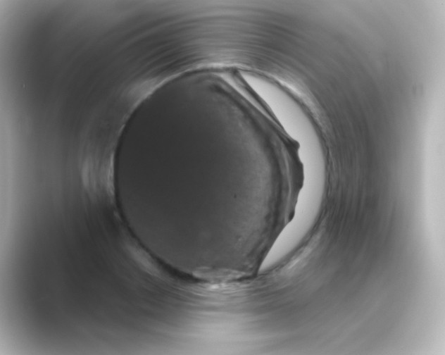 X0000088690842200706211925