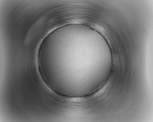 X0000088690843200706211925