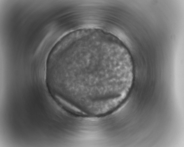 X0000088690844200706211925